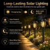 12 Pack Solar Pathway Lights, Warm White Rustic Garden Lights, Black