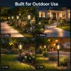 12 Pack Solar Pathway Lights, Warm White Rustic Garden Lights, Black