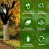 4-Roll 5.9-In. x 65.6-Ft. Natural Jute Tree Trunk Protection Wrap