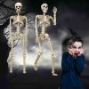 2-Pack 36" Halloween Skeletons, Posable Plastic Skeleton Yard Décor