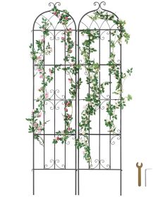 2-Pack Metal Garden Trellis for Climbing Plants, Outdoor Plant Support, 87in x 20 in