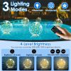 2-Pack 14-In. Solar Floating Pool Lights with Remote & Timer, Warm White