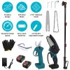 4-in-1 Cordless Pruning Shear & Mini Chainsaw Kit with Extension Poles & 2 Batteries
