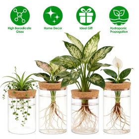 4-Pack Glass Hydroponic Propagation Stations, 2 Large & 2 Small, Wood Corks