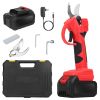21V Cordless Electric Pruning Shears, 40mm Cutting Capacity, 2 Batteries
