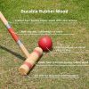 Six Player Croquet Set, Wooden Outdoor Lawn Game with Mallets, Balls and Carry Bag