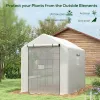 8 x 6 Ft. Portable Greenhouse with 3-Tier Shelves, Accessories, & Mesh Door