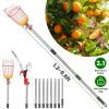 2-in-1 Pole Saw & Fruit Picker, Extendable Stainless Steel Pole